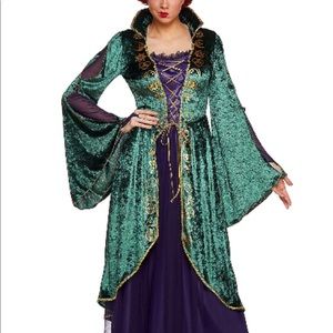 Hocus Pocus Plus Size Costume